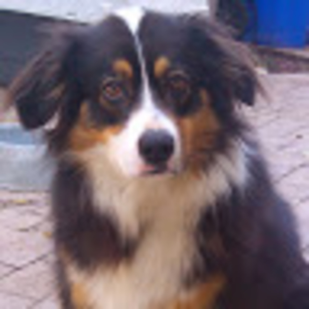 Meet your Posher, Brenna